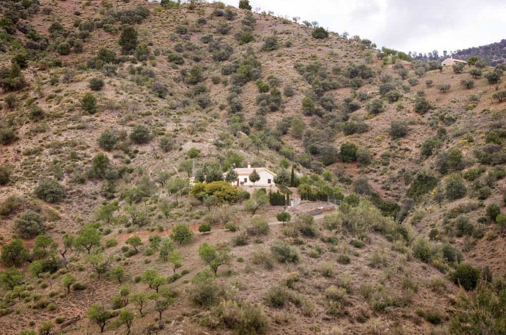 Rural Montes Malaga: Finca Pedregales Cameră foto